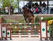 DI PALO BOLERO CampITA2013- S5 0750 : BOLERO VAN'T STENENPOORT, Campionati Italiani 2013, Cattolica, DI PALO ANIELLO, Horse Riviera Resort, foto di Stefano Secchi ©